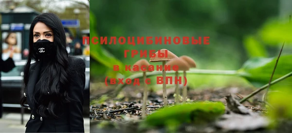 МДПВ Верхнеуральск
