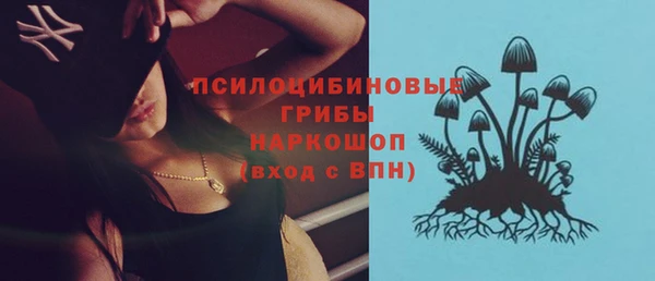 соль ск Верея