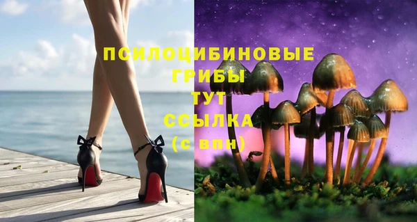 соль ск Верея