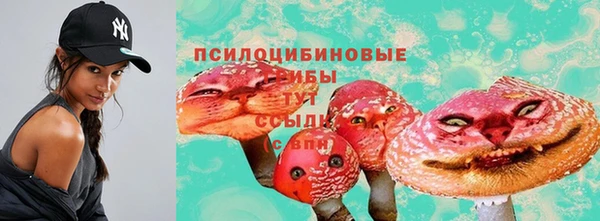 МДПВ Верхнеуральск
