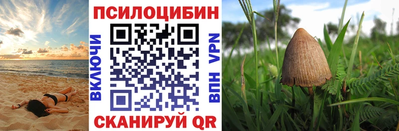 Псилоцибиновые грибы GOLDEN TEACHER Владикавказ